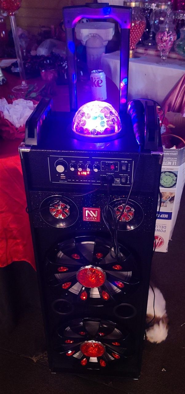 Portable bluetooth party speker 4000w dual 10  only. $65@  day